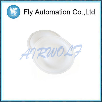 Non Metal Pump Diaphragm Repair Kit 15k312 1509 Graco PTFE Material