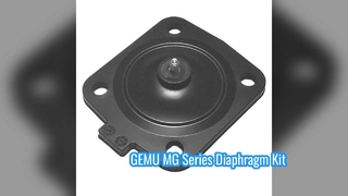 GEMU MG8 MG10 MG25 MG40 MG50 MG65 MG80 MG100 EPDM FDA Diyafram kitleri GEMU Diyafram Vanaları için